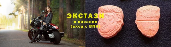 ECSTASY Богородск