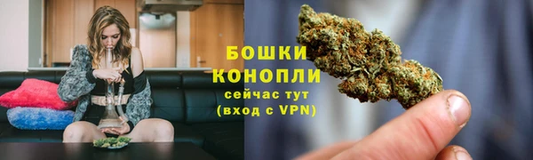 прущая мука Богданович